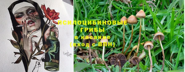 СК Майский
